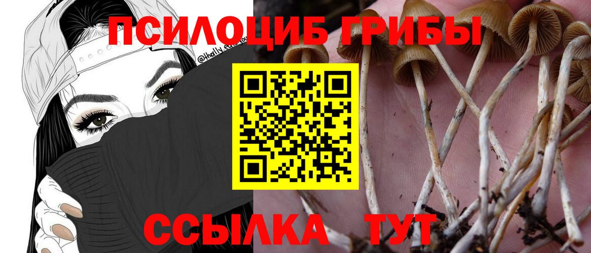 Галлюциногенные грибы Cubensis  Вход с VPN  Новосибирск 