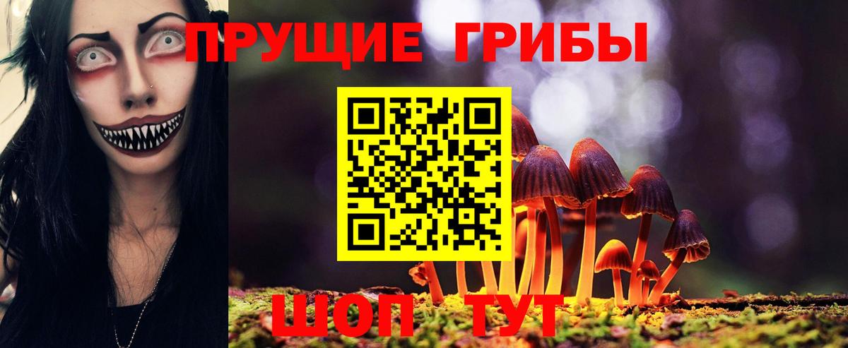 Псилоцибиновые грибы прущие грибы Новосибирск