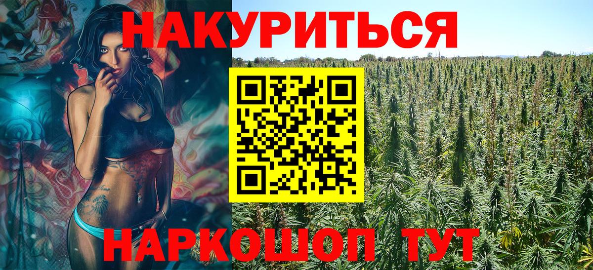Бошки Шишки план  Бошки марихуана OG Kush  Новосибирск  Марихуана конопля  Вход с VPN 